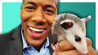 OPOSSUM OR POSSUM? Fun facts with TWRC Wildlife Center
