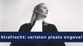 05  Strafrecht - verlaten plaats ongeval