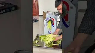 MNS-90 Green Radish Cutting Machine (www.menasenmachinery.com)