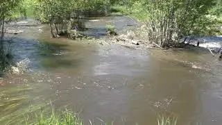 Floodplain reconnection at Triple Creek! (June 2017)