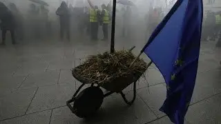 Polish farmers block roads nationwide in mass EU policy protests