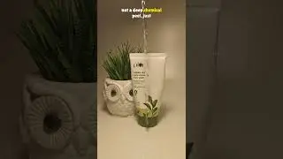 Plum Green Tea Face Wash Review | Best for Oily & Acne-Prone Skin?#plumfacewash #freshskincare