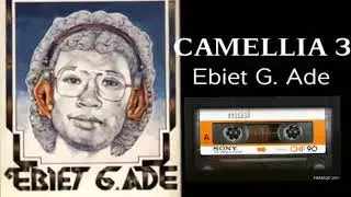 Ebit G ade camelia 1 2 3 4