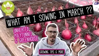 What Im Sowing In MARCH ?? | Unheated Polytunnel 🌿🧑🏼&zwj;🌾👀