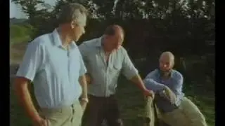 Show Down at Glastonbury 1992 : Goode and Eavis part 2