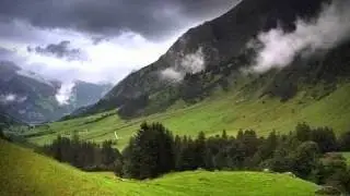 Youvenis Group - Numai Noi