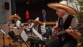 Pedro's Big Mustache & Very Heavy Gentlemen feat. Singing Birds - Joulumaa-salsa