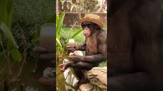 Top 10 Amazing Facts About Animals 🐍🐸 | Crazy Facts | Mind Blowing Facts In Hindi #shorts