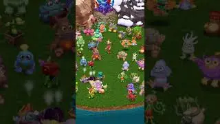 Msm hex leak