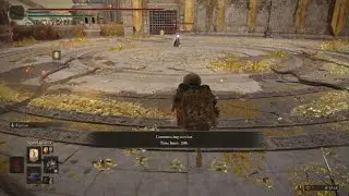 ELDEN RING do this too counter endure dragon builds