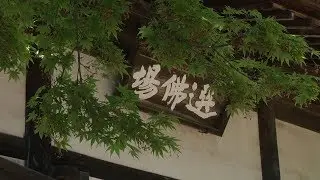 北鎌倉 円覚寺 / 開基 北条時宗 / Temple | Kamakura 2018-4