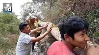 Wooden Bridge Construction, Sikkim India Documentary film 2022.