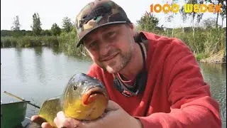 Wyprawa po grubego lina i wędzony teleport