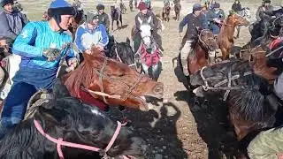 12-03-2022.Лейлек р, н. Бешкент Жумабай аванын улагы жашы баланын ат салышынын курунгуздор 👍