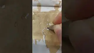 how to sketch cat & firefly with coffee + ink * Come ho dipinto lucciole con caff&egrave; * кот и светлячки