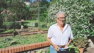 Poesie del mese di Giugno