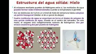 El Agua. Introducción a la Bioquímica