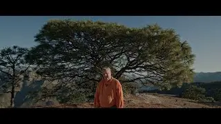 Romayne Wheeler Promotional Bmpcc 6k - Blackmagic 6k
