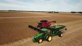 Soybean Harvest 2019