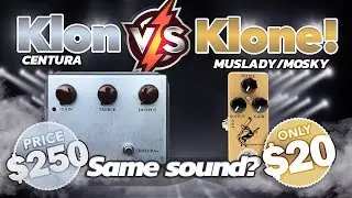 Ceriatone Centura Vs. Mosky Golden Horse