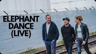 ELEPHANT DANCE (live @ Tonhalle Hannover)