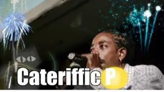 Celebration Time Pong Cat Judging Ad Barbados Crop Over 2012 sec.mp4