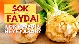 TURP DEĞİL, ŞALGAM DEĞİL! Pazarın En Gizemli Şifacısı Kök Kereviz ile Tanışın