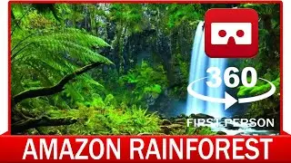360&deg; VR VIDEO - Amazon Rainforest - VIRTUAL REALITY 3D