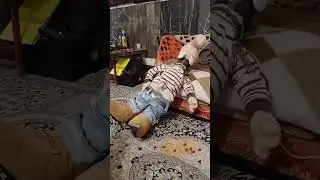 #Dog#Terrier #CuteDog #SupportAnimals #BeKindToAnimals#SabaDanii #DogVideo#دنی وشیطونیاش
