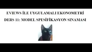EVIEWS İLE UYGULAMALI EKONOMETRİ_MODEL SPESİFİKASYON SINAMASI
