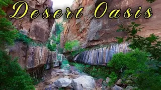 Stunning Waterfall hike in the middle of the Desert! Hiking Water Canyon, Utah