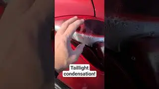 Taillight condensation! How much is too much? #automobile #carmaintenance #carrepairtips #cartips