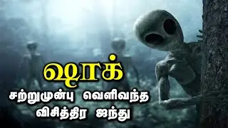 பூமிக்கு வந்து சென்ற ஏலியன்! தலைசுற்றவைக்கும் ஆதாரங்கள்! Alien who came to Earth! Dizzying Sources!