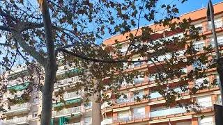Things around our house in Barcelona