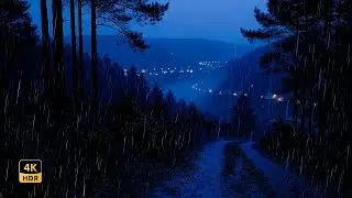24/7 Heavy Rain in the Forest at Night 🌧️ Rain Sounds for Sleeping & Relaxing, Insomnia Relief Live