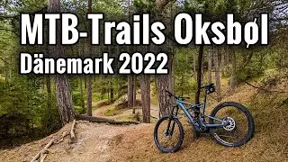 MTB-Trails Oksbøl - Dänemark 2022 - Rough Cut