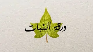 ورقة النبات | في دقيقتين