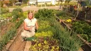 Growing Vegetables : How to Add Lime to Your Vegetable Garden