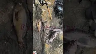 Fishing Day in Victoria BC