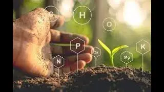 Lesson 1 Plant Nutrition - Agronomy 101