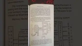 Memory#kinds#memory model