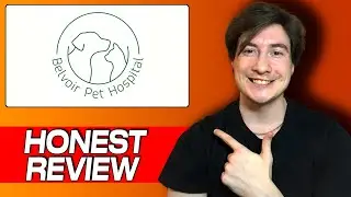Belvoir Pet Hospital Review: Honest User Experience with Services and Care