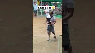 Paldo kalbo 😎 #funnymemes  #shorts  #sabongero #trendingshorts