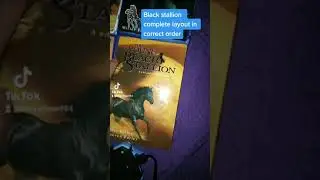 Bird's eye review over Black stallion  series by Walter Farley