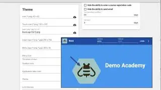 Agilix Buzz: Adding Domain Themes