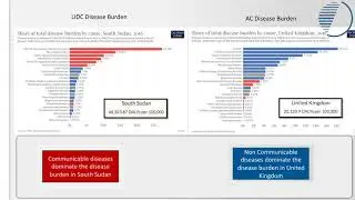 Global Disease Burden