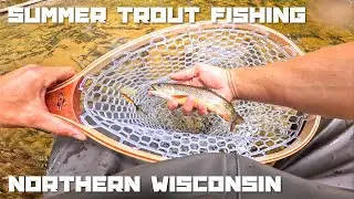 Trout Fishing a Tiny River in Northern Wisconsin with Spinners-Late Summer (8-24-2025)