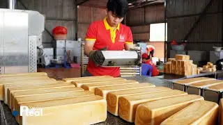 How Vietnamese Sandwich Became a Cultural Icon | Silent Street Food Documentary