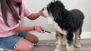 Fuller Brush Pet Care Complete Bundle - Brushes + Shampoo