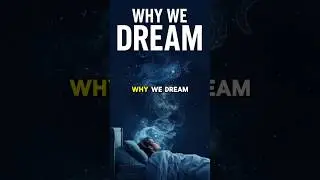 ПОЧЕМУ МЫ СНОВИДИМСЯ ВО ВРЕМЯ СНА 😴 Основные причины, факторы и значение сновидений во время фазы...